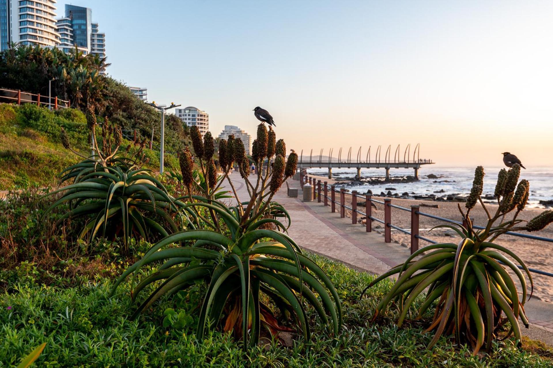 Apartment Luxurious Umhlanga Penthouse Beacon Rock 323 With Inverter *